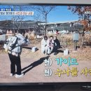 살림남에서 구미가~ 이미지