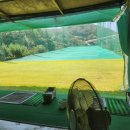 유산벨리골프연습장 이미지