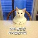 2025 아모르 콘서트 | 임영웅 IM HERO TOUR 2025 대구 콘서트 티켓팅 후기 및 꿀팁, 장모님께 점수 딴 사위 썰