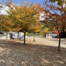 무주구천동캠핑장 이미지