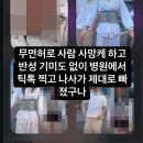 지한동물병원 루리웹 뉴스보드