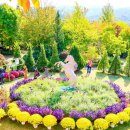 양평수목 이미지