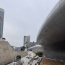 세계는한가족 | 키크니 특별전 '그렸고 그런 사이' 후기｜DDP 전시 추천, 공감과 위로를 담은 전시