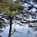 정동진제이 이미지