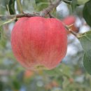 덕송농장 이미지