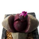 마옥농장 이미지