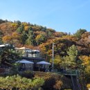 강아지와 가을여행하기 좋은 글램핑 더히로플레이그라운드&amp;글램핑 방문 찐솔직후기