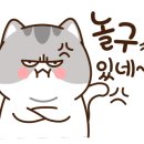 성수여행사
