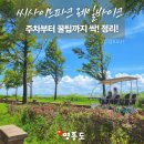 영종씨사이드 레일바이크 앞 | 영종 씨사이드파크 주차·영종씨사이드파크 레일바이크 완벽 가이드