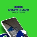 양양플랫폼