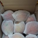 김임순 농장 이미지