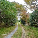 주작산자연휴양림 이미지