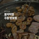 다정막창생삼겹 | 수원 망포 봉자막창 내돈내산 막창 맛집 웨이팅 후기