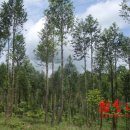 요동농장 이미지