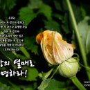 PICTURE&amp;TEXT_20240721_사랑의 열매로 증명하라!_고린도후서 6장 8b-9절_오순절 후 아홉 번째 주일 묵상_양림간 마을 이미지