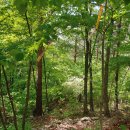 순직산업전사위령탑 이미지