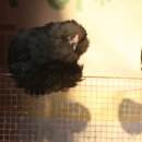 형재목장 이미지