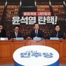 민주 “‘대통령 내란죄’ 먼저 수사…10일 상설특검안 처리” 이미지