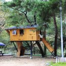 아홉사리로 이미지