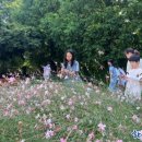 화순초 이서분교 이미지