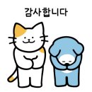 카카오피씨 이미지