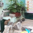 금빛 반달고개 이미지