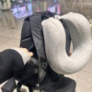 프론티어 | [한양대학교 글로벌 프론티어] 2025 합격 후기🌍✈️