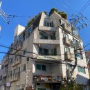 세라어린이집 | [잠실 스킨플래닝] 무디 잠실본점 세라링 소극성속모증(가시털 정체증) 제거 후기