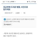 세종특별자치시 소정면 곡교천 벚꽃사진공모전 이미지