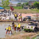 내대 2리 이미지