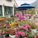 뜰안에 정원 이미지