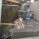 평동 행정복지센터 나눔카페 | 광주근교 수족관 장성 카페&lt;태미&gt;