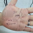 서수면 행정복지센터 본관옆 체육관 | 용인시 출생신고 행정복지센터방문 (첫만남이용권,영/아동수당,산후조리비,출산지원금 한꺼번에 신청)