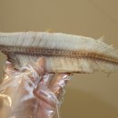 금강건어물 이미지