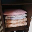 파인벨팬션
