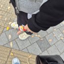 재이라이팅 이미지
