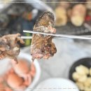 칠암바다장어 이미지