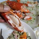 1차.....2차.....3차.....4차.......전지전능한 능력............... 이미지