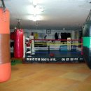 빅스타 복싱체육관 이미지