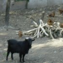 근화농장 이미지