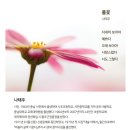 노래마을 네이버블로그