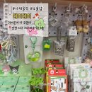 가재울역 | [인천서구] 가재울역 데이데이 내돈내산 솔직후기