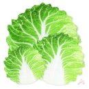 필 이미지