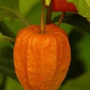 보육교사론 이미지