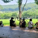 용인 산림교육센터 이미지