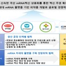 에스티투자개발