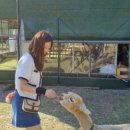 레오목장 2 이미지