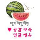 셀럽스테이송도 | [퍼플수박] 셀럽스테이송도 레지던스호텔 숙박이용 후기
