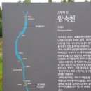 왕숙천고향의강 이미지