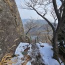 담양-04 Daum카페